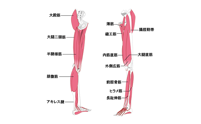 足のしびれ